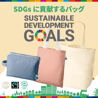 SDGs˹׸Хå