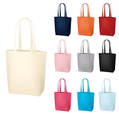 0751 キャンバスデイリートート